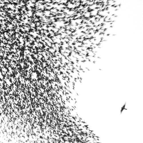 Wilco -  Sky Blue Sky [2LP]